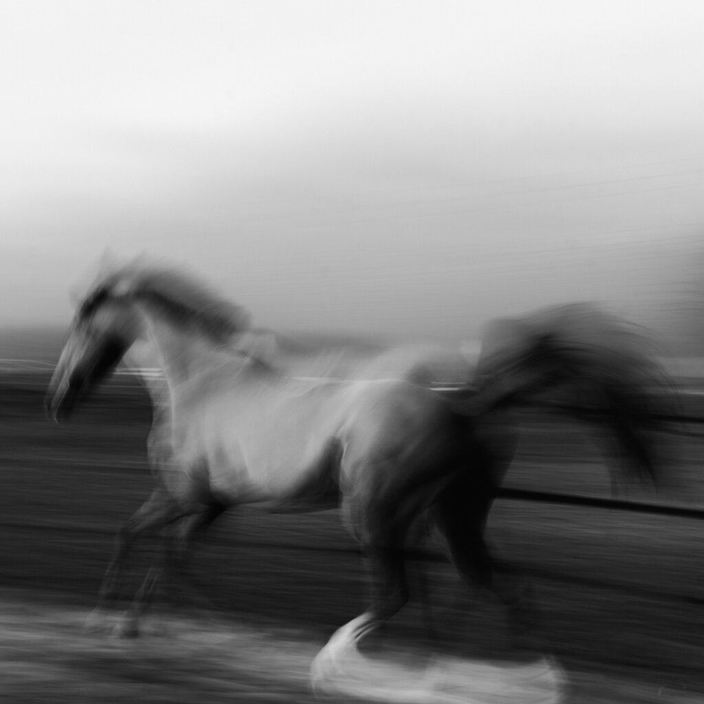 A Horse Runs Quickly Along A Racetrack With A Blurred Blackandwhite Effect