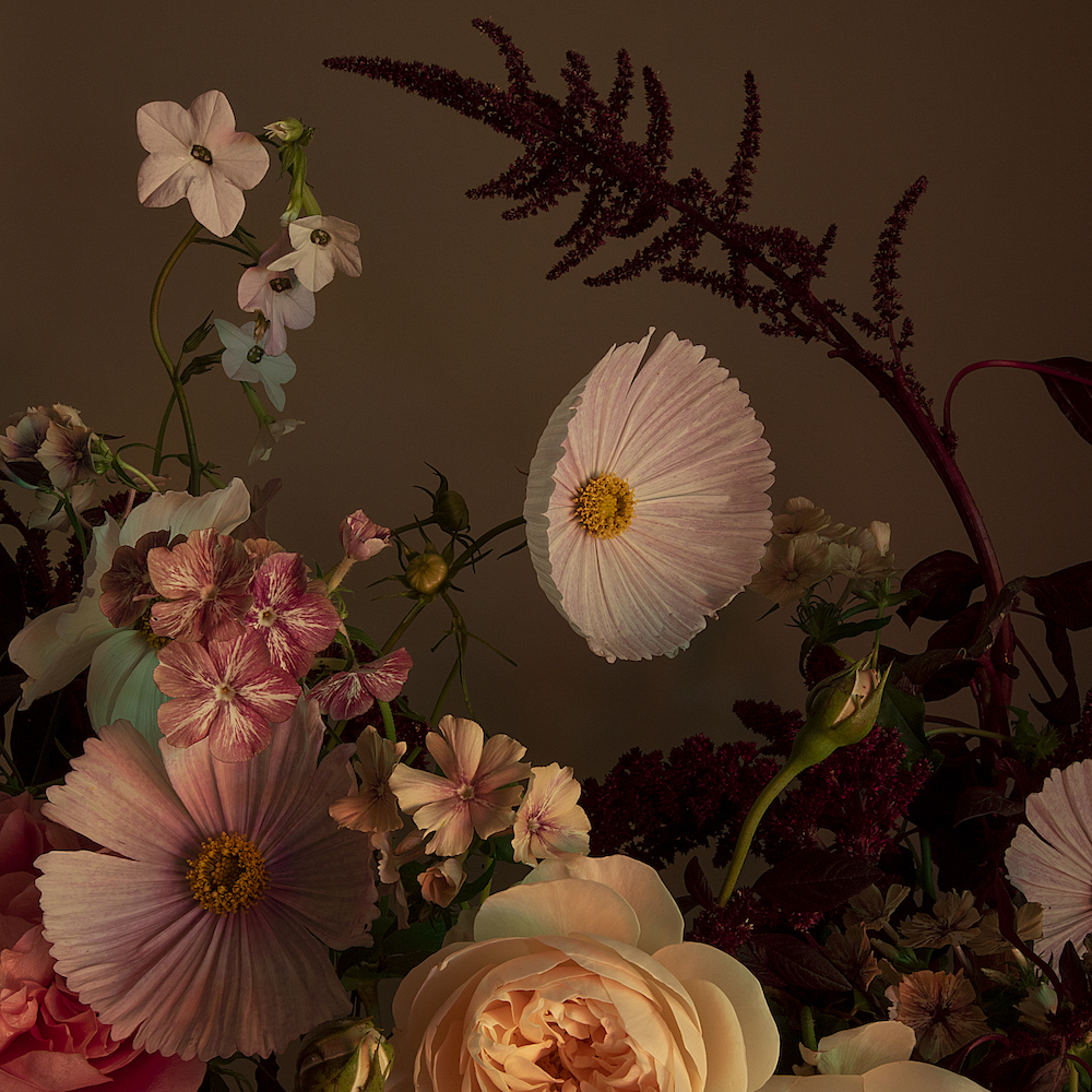 Bouquet With Different Species Of Flowers In Still Life On Darkened Background