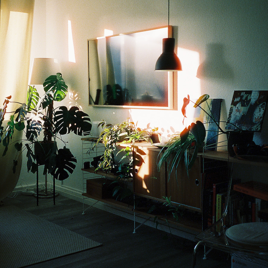 Sunlight Shining Through The Window Of A Room In An Interior Space