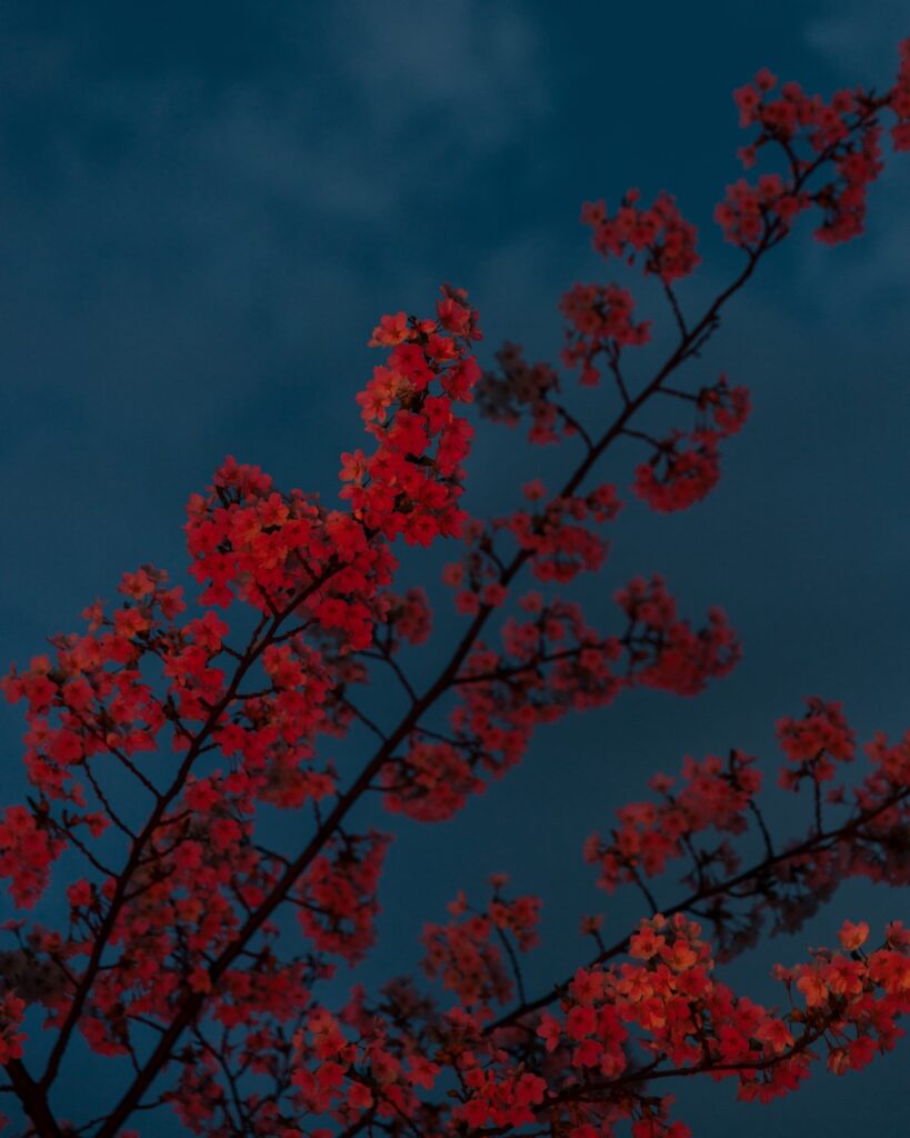 Featured in "The Depth and Power of Shadows: Embracing Dark Imagery in Design"